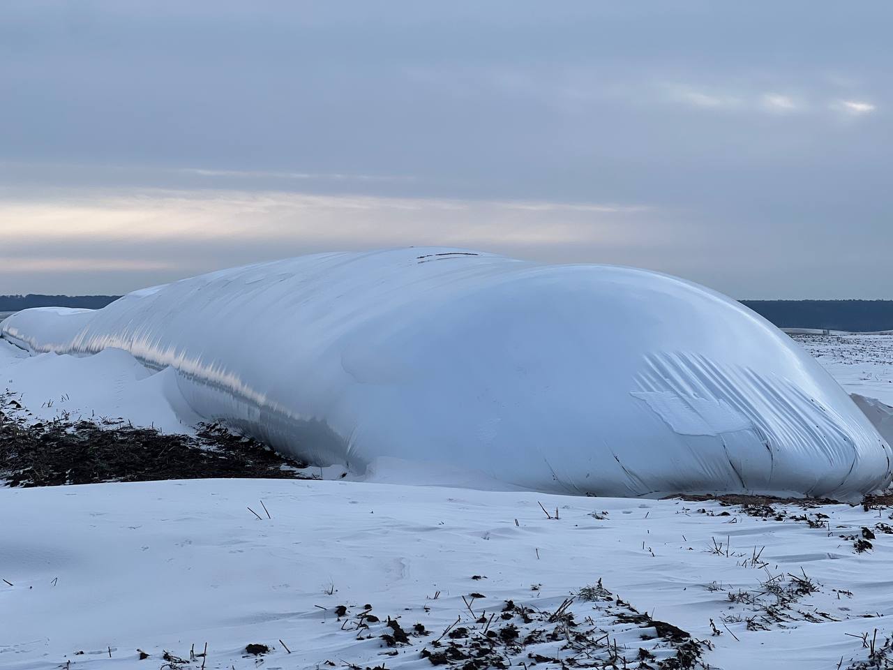 Збір врожаю
